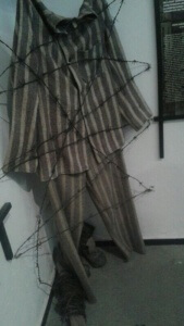 haine muzeul durerii