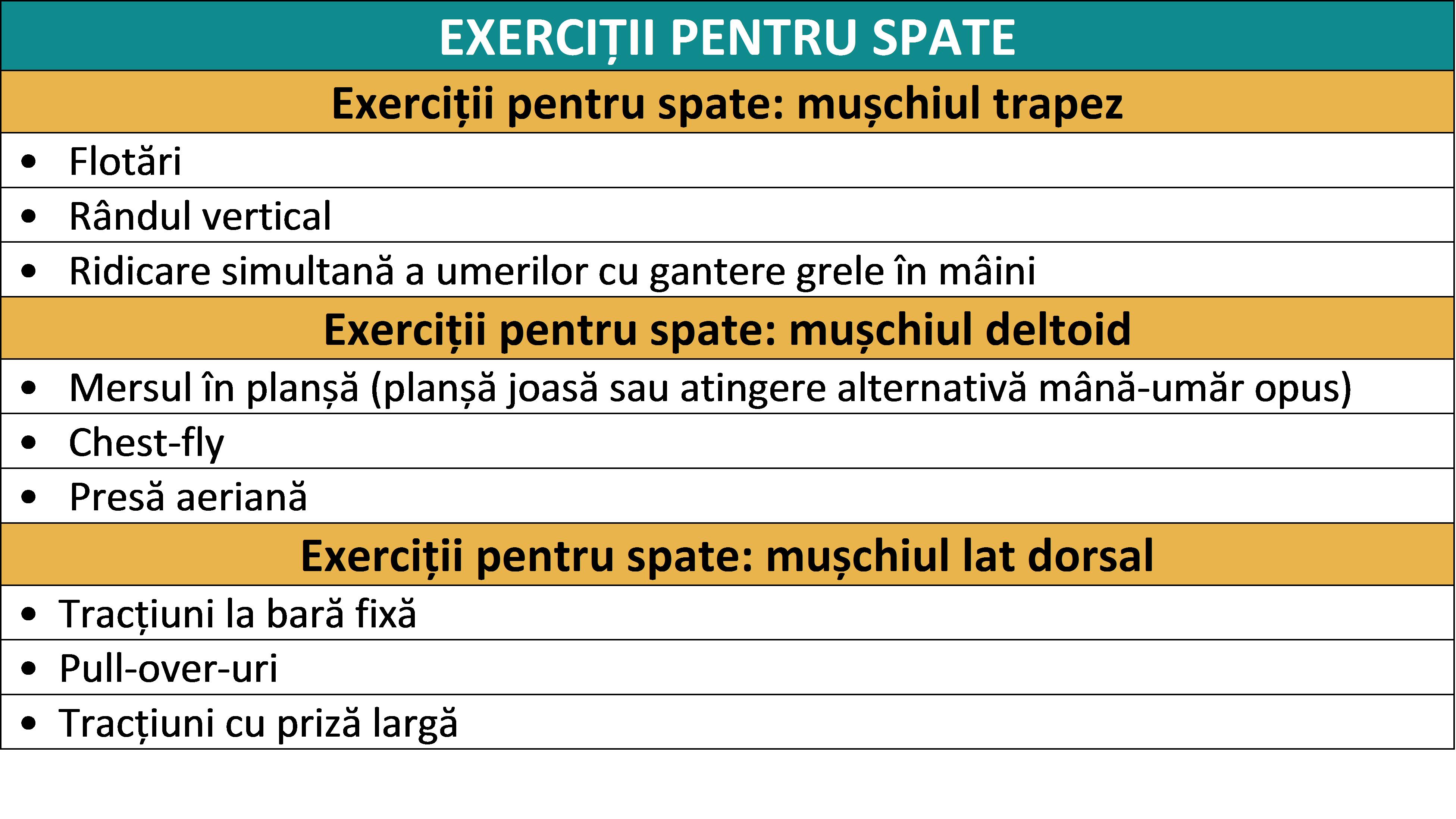 exerciții pentru spate acasă