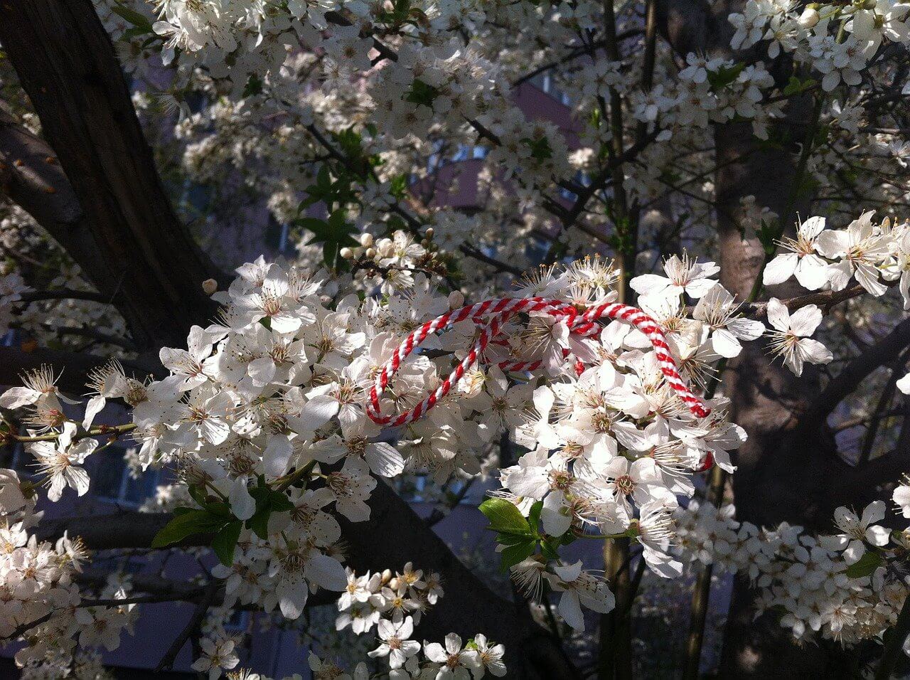 legendele mărțișorului istorie